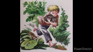 К. Паустовский "Заячьи лапы"