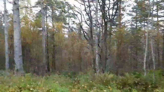 Карелия.30.09.2017.Поездка выходного дня. смотреть онлайн