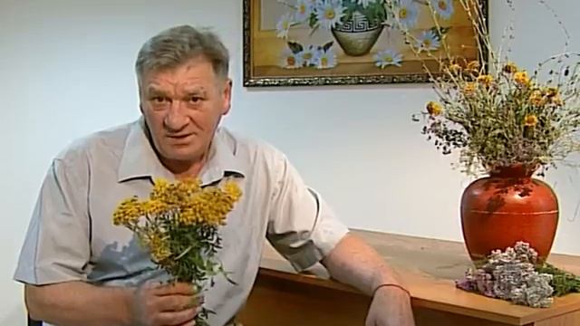 Майн Совет о лечебных свойствах пижмы смотреть онлайн