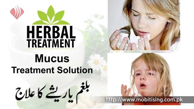 Dr Umme Raheel || Balgham Ya Resha || Treatment Solution || LifeStyle Vloger смотреть онлайн