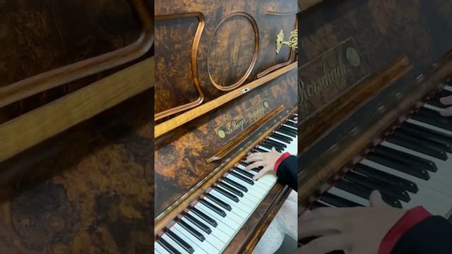 Bieger Chopin Fantasie Claudia Klinkenberg смотреть онлайн