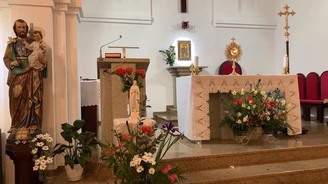 Св. Месса - четверг 11.02.2021 в 18.00, Розарий, Адорация, молитва о больных смотреть онлайн