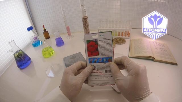 Томат Ранний Грунтовый. Седек смотреть онлайн