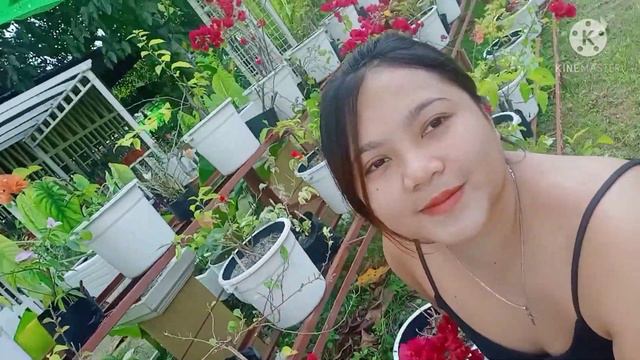 Bougainvillea Tour || yely's Vlog смотреть онлайн