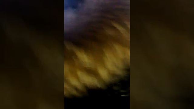 Донской жжёт прикол смотреть онлайн