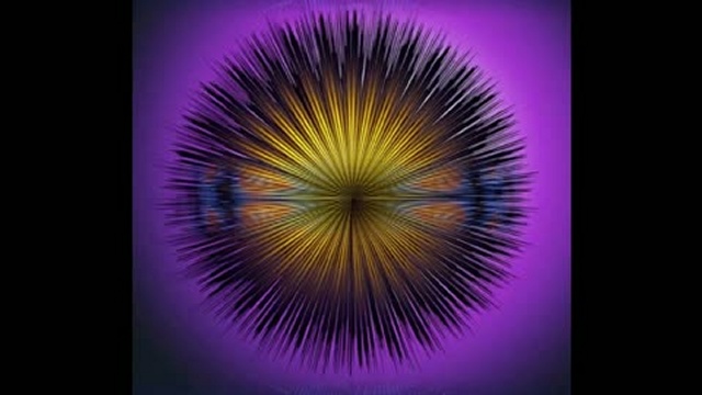 Песни китов