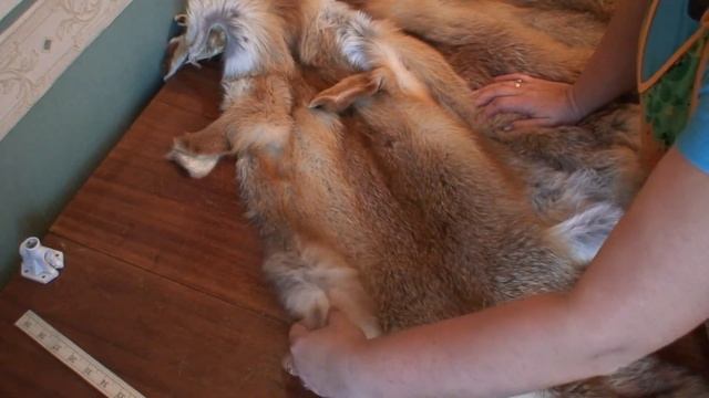 Большой секрет по лисьим шкуркам.Все своими руками. Это очень просто. смотреть онлайн