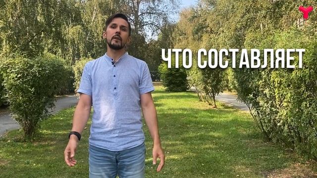 Пушкинская карта смотреть онлайн