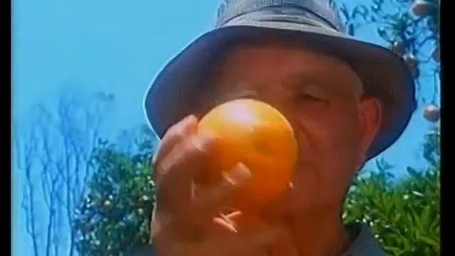 WA Commercial: Harvey Fresh Juice (1995?) смотреть онлайн