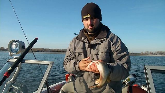 съедобная резина lucky john джиг с лодки 1 смотреть онлайн