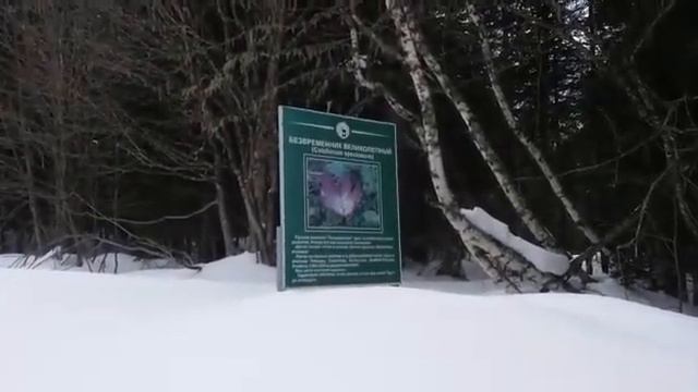 16 марта 2021 г. 2300м!!!  Перевал 