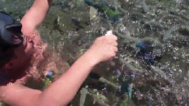 Рыбы в Шарм Эль Шейхе или рыбалка по египетски 2 смотреть онлайн