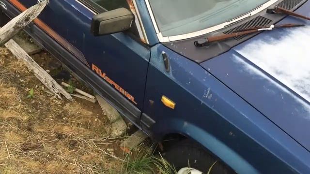 【草ヒロ】SPRINTER CARIB смотреть онлайн