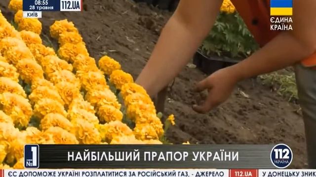 Самый большой флаг Украины с живых цветов смотреть онлайн