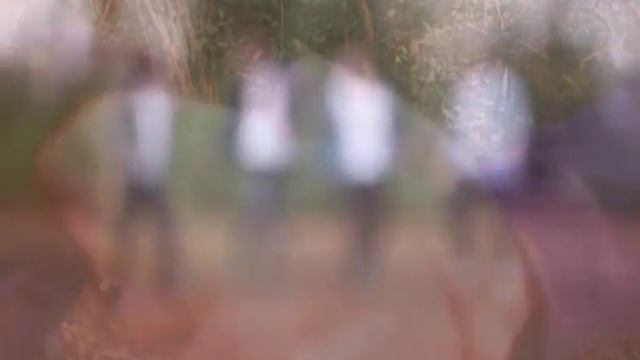 Hanging Tree - Sunglasses