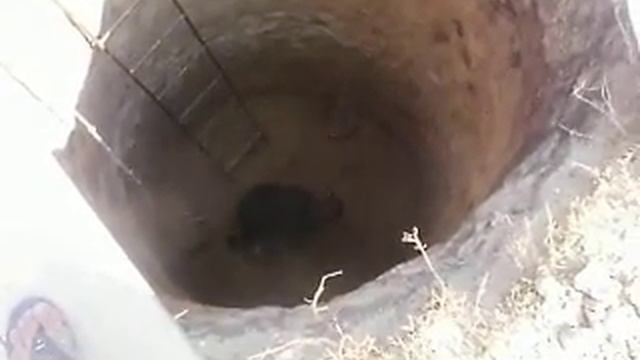 Яма под кольца, копает Андресса смотреть онлайн