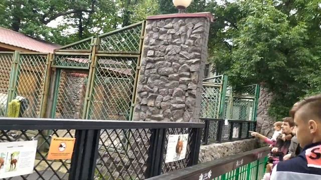 Санкт-Петербург, Ленинградский зоопарк / Saint-Petersburgh, Leningradskiy Zoopark. смотреть онлайн