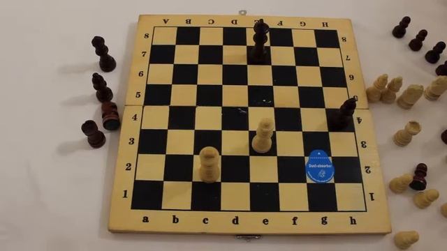 Мастер-класс по шахматам 