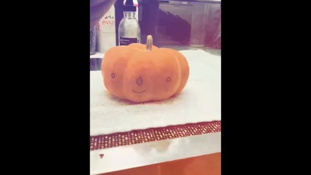 Nina Dobrev Instagram story - October 31, 2017 смотреть онлайн