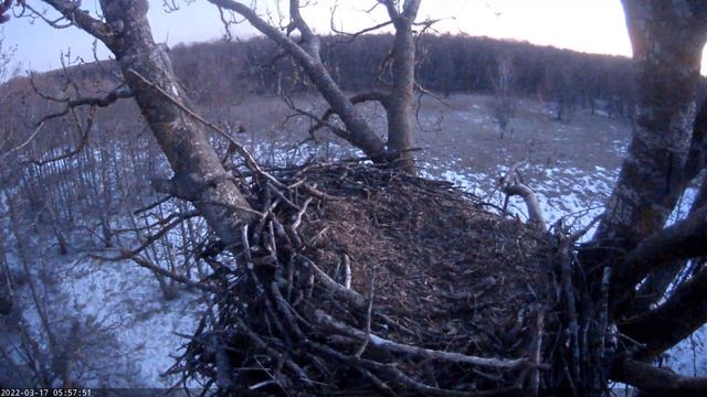 WTE, Estonia.The dispute over the nest continues.17/03/2022, 05:52 - 06:04 смотреть онлайн