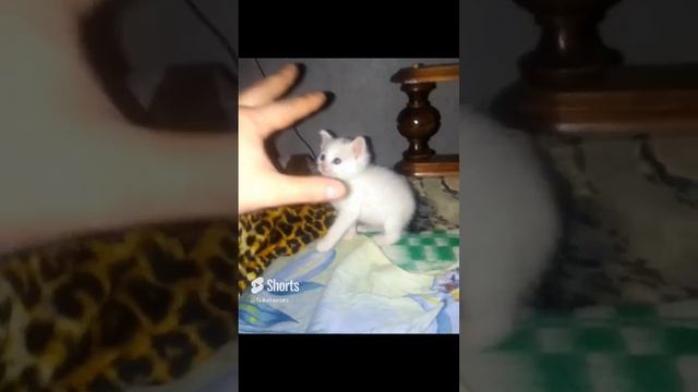 7years ago(7 лет назад)🤪