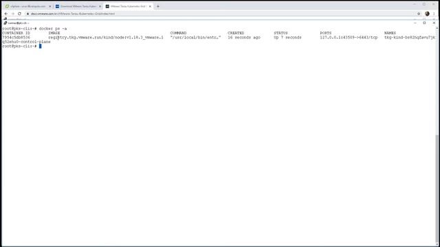 VMware Tanzu Kubernetes Grid (stand-alone) management cluster deployed via tkg-cli on vSphere смотреть онлайн