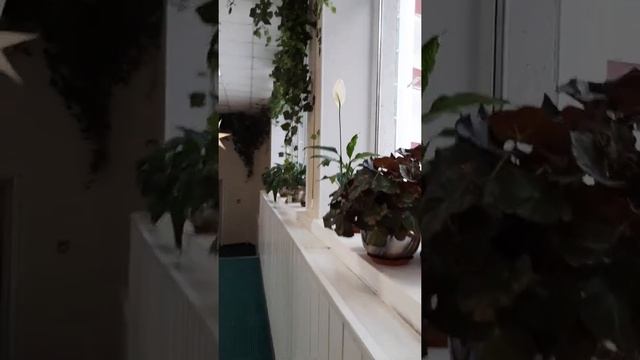 Курорт (санаторий) Увильды на озере Увильды в Челябинской области