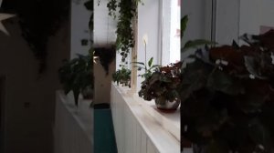 Курорт (санаторий) Увильды на озере Увильды в Челябинской области