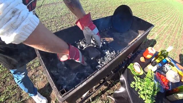 Грибная мастерская