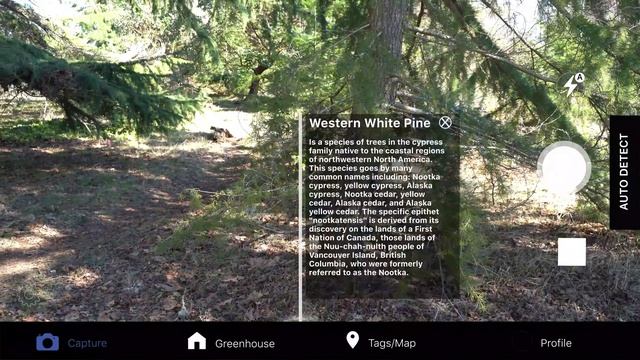 Botany AR Promo V2 смотреть онлайн