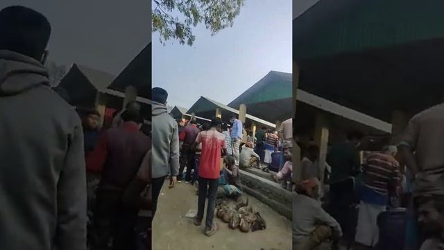 Biggest Local Market In Bangladesh  #Saidpur