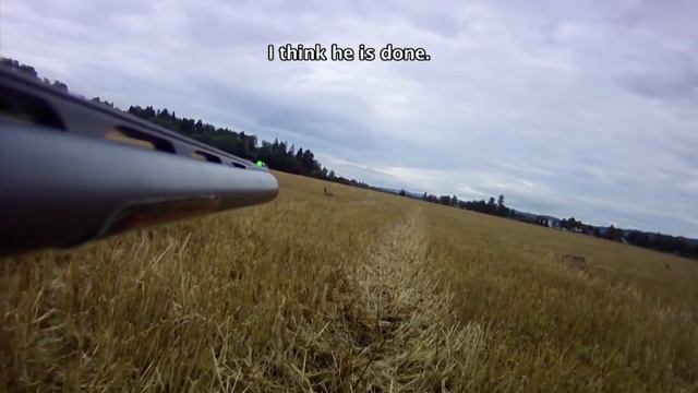 Охота на глухаря и гуся. Охотничьи приключения в Норвегии / NORDIC WILD HUNTER (Охотник и рыболов) смотреть онлайн