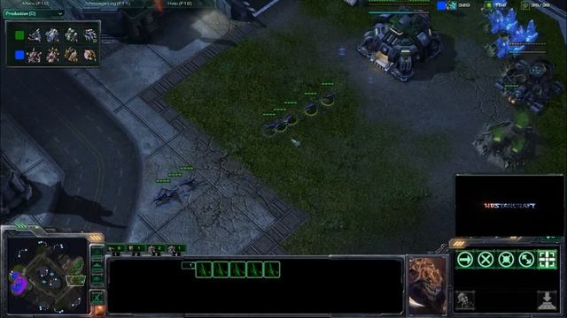 HD Starcraft 2 oGs.TheStC v JooktoJung p1/2 смотреть онлайн