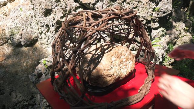 【大石林山】沖縄最北端"やんばる"観光！世界遺産の大自然 смотреть онлайн