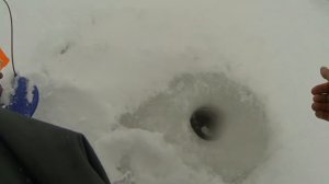 Ловля форели на пасту зимой.