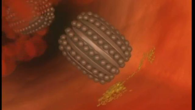 Kavli Prize смотреть онлайн