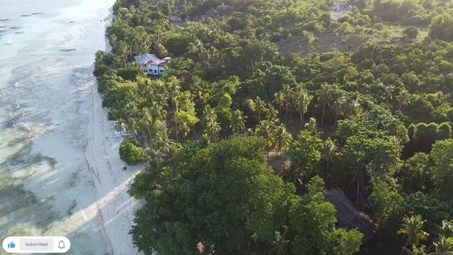 Beach Lot Whitesand for Sale | 12 HEC | TITLED | PANGLAO ISLAND OF BOHOL | Price 50k/sqm смотреть онлайн