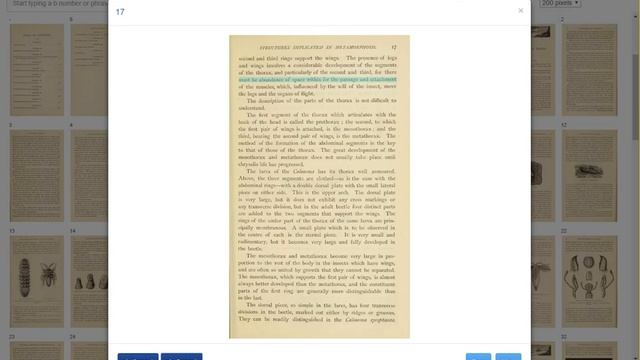 IIIF and Speech via Annotations смотреть онлайн