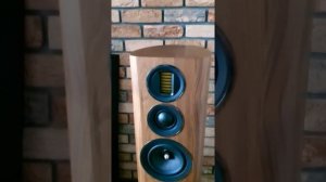 Wharfedale EVO 4.4 + NAD M10 #3