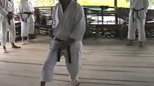 Ганшаку по Каратэ Фудокан в Будераже 2000 год | Traditional karate-do gashuku смотреть онлайн