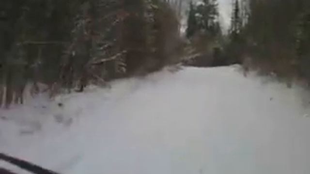 Дорога на гастроли Андрей Чешуин Встретили медвежёнка по пути на гастроли смотреть онлайн