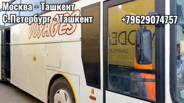 Мана автобусда Ташкентга кетиш кандай. Москва Ташкент , автобус СанктПетербург Ташкент автобус смотреть онлайн