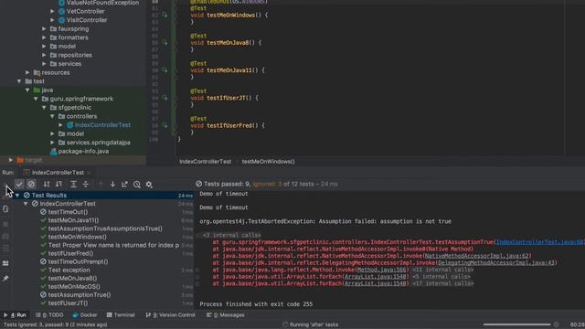 JUnit 5 Conditional Test Execution смотреть онлайн