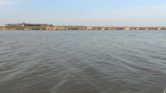 Весна, рыбалка, караси, овцы и ондатры. смотреть онлайн