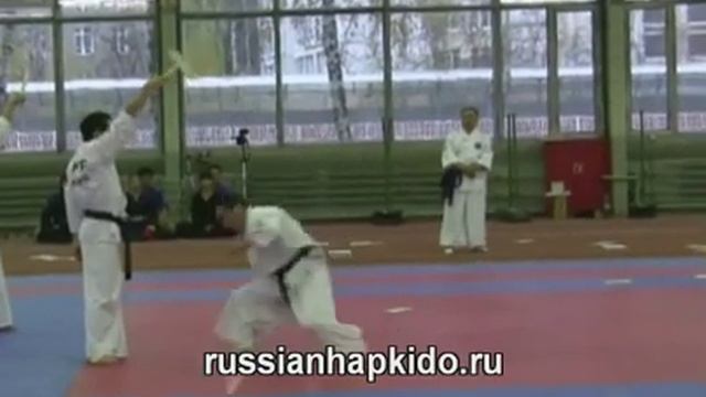 Demonstration Hapkido IHF demo team from Korea. Part 2 смотреть онлайн