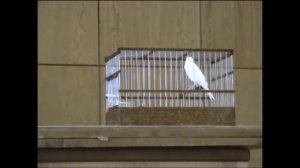 ЧМ первые 3 места