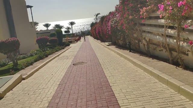 Grand Oasis Resort. Территория отеля. Прогулка к пляжу от номера. Египет. Шарм Эль Шейх смотреть онлайн