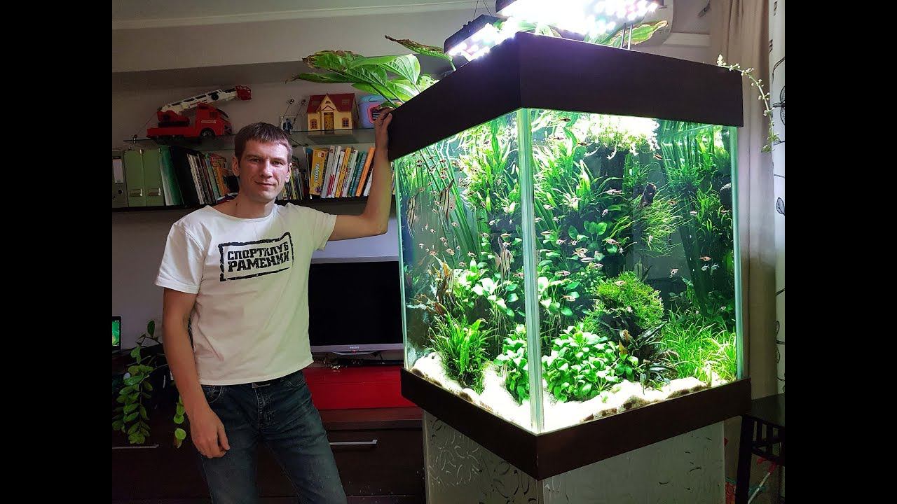 Аквариум три месяца без подмены воды. Результаты тестов смотреть онлайн