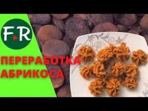 Баткенский абрикос. Оборудование для переработки абрикоса. СХ кооператив Алыш Дан