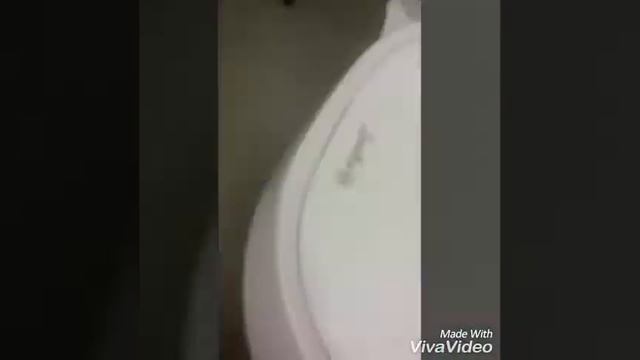 Ура! Камілка поборола страх та сходила до стоматолога. Найкращий дитячий стоматолог Юля! смотреть онлайн